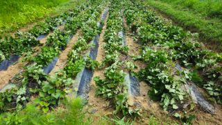 문해님의 자유주제 · 자유게시판 작성글 사진