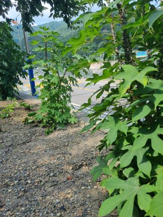 김용대님의 자유주제 · 자유게시판 작성글 사진