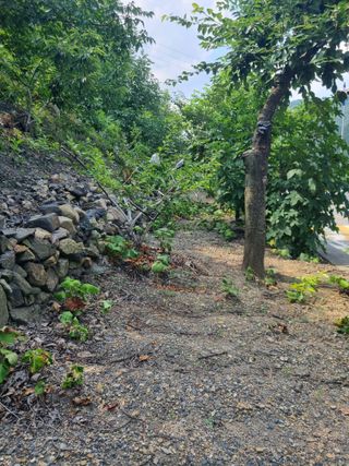 김용대님의 자유주제 · 자유게시판 작성글 사진