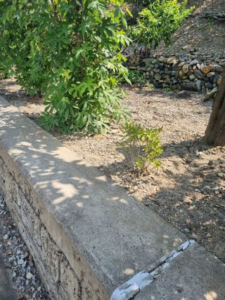 김용대님의 자유주제 · 자유게시판 작성글 사진