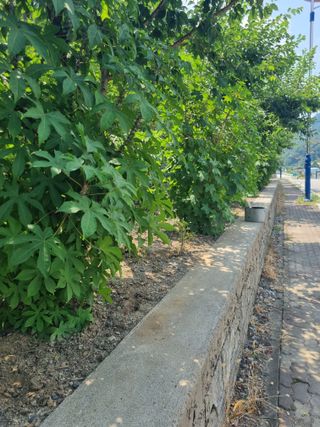 김용대님의 자유주제 · 자유게시판 작성글 사진