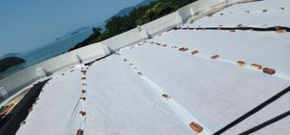 고추농사 정 미라님의 자유주제 · 자유게시판 작성글 사진