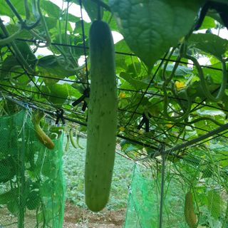 인생은 소풍처럼님의 자유주제 · 자유게시판 작성글 사진