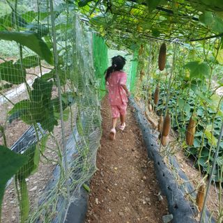 인생은 소풍처럼님의 자유주제 · 자유게시판 작성글 사진