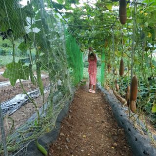 인생은 소풍처럼님의 자유주제 · 자유게시판 작성글 사진