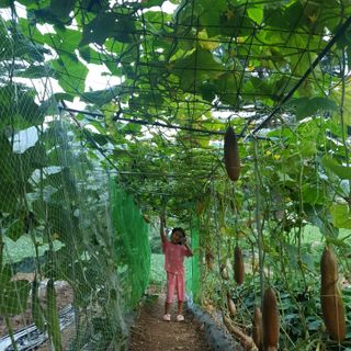 인생은 소풍처럼님의 자유주제 · 자유게시판 작성글 사진