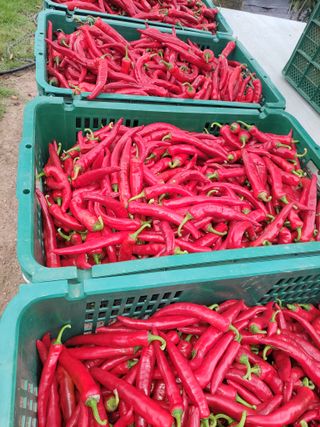 김종옥님의 자유주제 · 자유게시판 작성글 사진