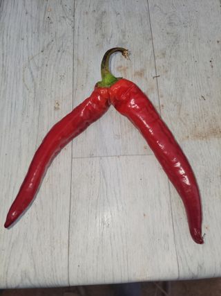 김종옥님의 자유주제 · 자유게시판 작성글 사진