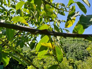 정석구님의 자유주제 · 자유게시판 작성글 사진