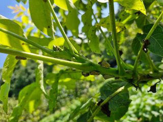 정석구님의 자유주제 · 자유게시판 작성글 사진