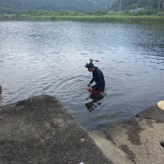 장철식님의 자유주제 · 자유게시판 작성글 사진