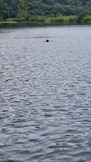 장철식님의 자유주제 · 자유게시판 작성글 사진