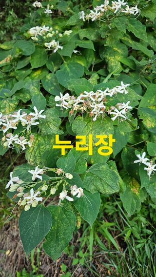 장철식님의 자유주제 · 자유게시판 작성글 사진