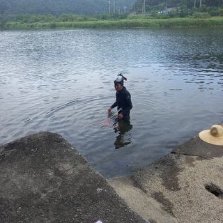 장철식님의 자유주제 · 자유게시판 작성글 사진