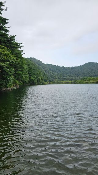 장철식님의 자유주제 · 자유게시판 작성글 사진