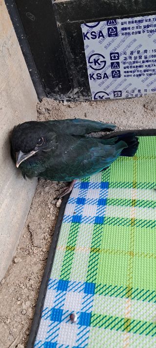 별라님의 자유주제 · 자유게시판 작성글 사진