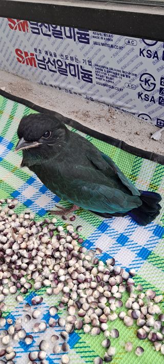 별라님의 자유주제 · 자유게시판 작성글 사진