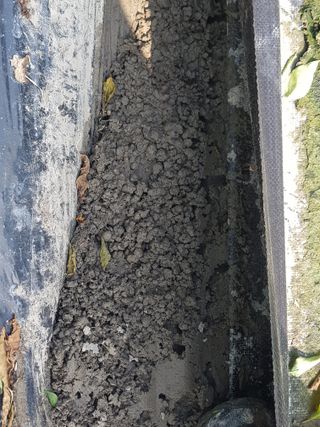 까망고무신님의 자유주제 · 자유게시판 작성글 사진