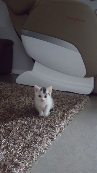 이윤미님의 자유주제 · 자유게시판 작성글 사진