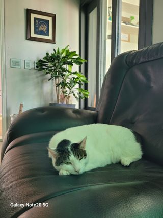 이윤미님의 자유주제 · 자유게시판 작성글 사진