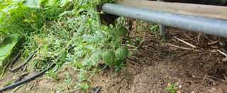 장기수님의 자유주제 · 자유게시판 작성글 사진