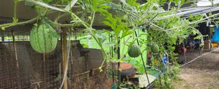 장기수님의 자유주제 · 자유게시판 작성글 사진