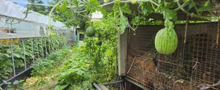 장기수님의 자유주제 · 자유게시판 작성글 사진