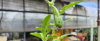 장기수님의 자유주제 · 자유게시판 작성글 사진