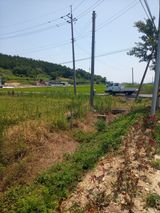 팜모닝 벼·영농일지 게시글 이미지