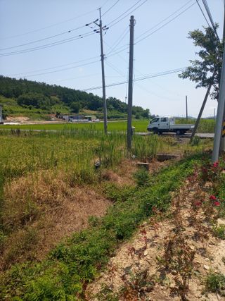 이찬웅님의 벼 · 영농일지 작성글 사진