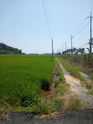 이찬웅님의 벼 · 영농일지 작성글 사진