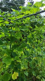 팜모닝 자유주제·자유게시판 게시글 이미지