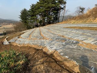 김혁식님의 들깨 · 영농일지 작성글 사진