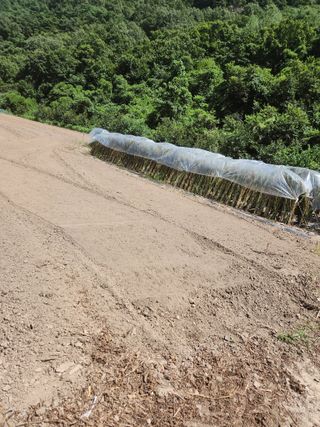 농군님의 ☀️8월 농작업 계획 · 참여글 작성글 사진