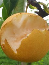 팜모닝 ☀️8월 농작업 계획·참여글 게시글 이미지