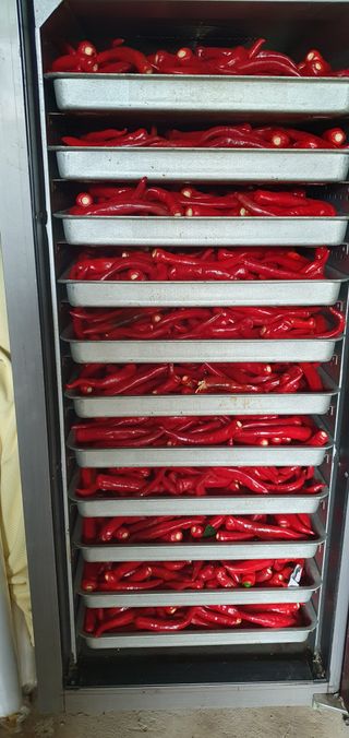 0109692248님의 ☀️8월 농작업 계획 · 참여글 작성글 사진