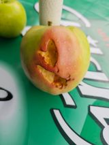 팜모닝 사과·영농일지 게시글 이미지