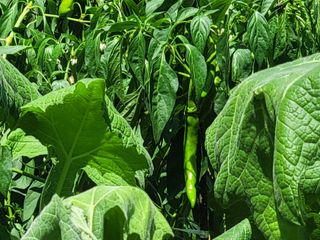 이원우님의 자유주제 · 자유게시판 작성글 사진