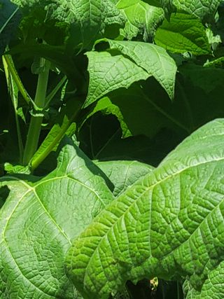 이원우님의 자유주제 · 자유게시판 작성글 사진