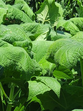 이원우님의 자유주제 · 자유게시판 작성글 사진