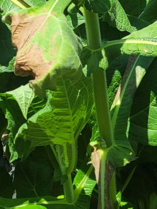 이원우님의 자유주제 · 자유게시판 작성글 사진