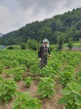 팜모닝 자유주제·자유게시판 게시글 이미지