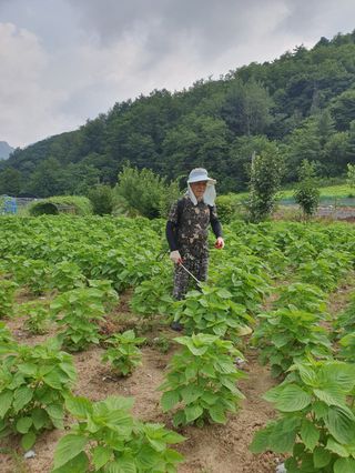 마늘7336님의 자유주제 · 자유게시판 작성글 사진