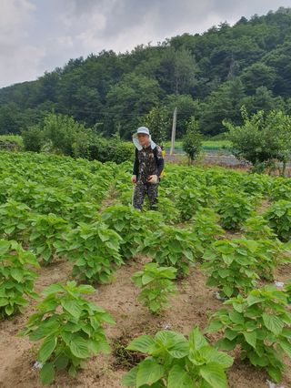 마늘7336님의 자유주제 · 자유게시판 작성글 사진