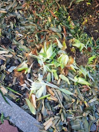 김용대님의 자유주제 · 자유게시판 작성글 사진