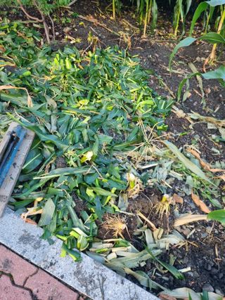 김용대님의 자유주제 · 자유게시판 작성글 사진