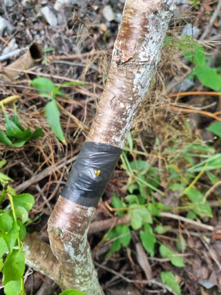 김용대님의 자유주제 · 자유게시판 작성글 사진