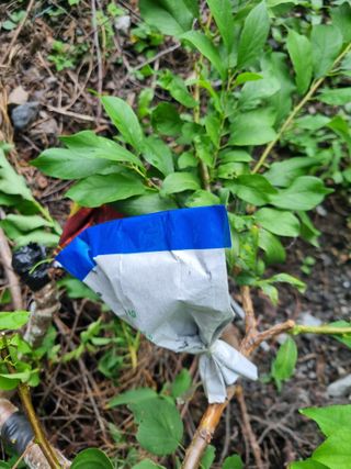 김용대님의 자유주제 · 자유게시판 작성글 사진