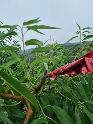 김용대님의 자유주제 · 자유게시판 작성글 사진