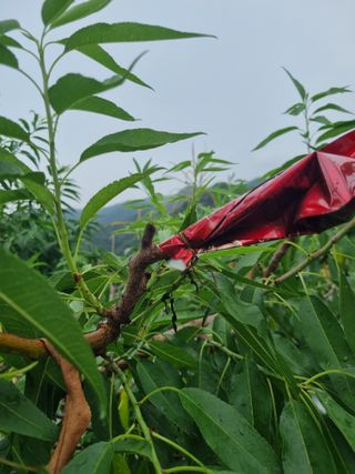 김용대님의 자유주제 · 자유게시판 작성글 사진